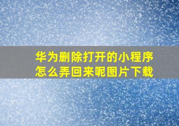 华为删除打开的小程序怎么弄回来呢图片下载