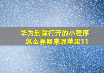 华为删除打开的小程序怎么弄回来呢苹果11