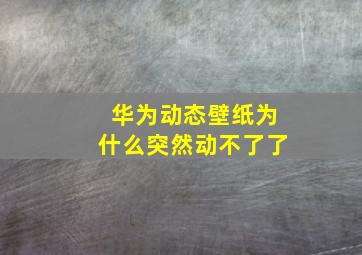 华为动态壁纸为什么突然动不了了