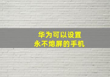 华为可以设置永不熄屏的手机