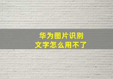 华为图片识别文字怎么用不了