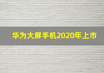 华为大屏手机2020年上市