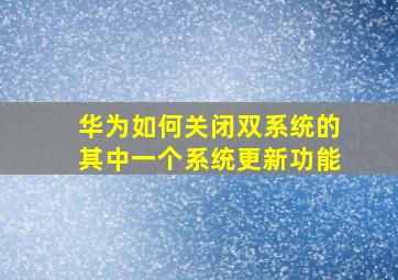 华为如何关闭双系统的其中一个系统更新功能