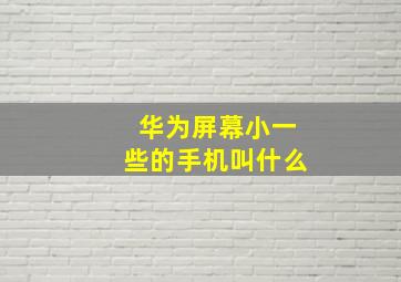 华为屏幕小一些的手机叫什么