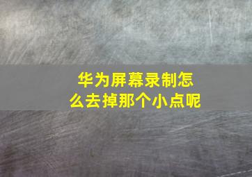 华为屏幕录制怎么去掉那个小点呢