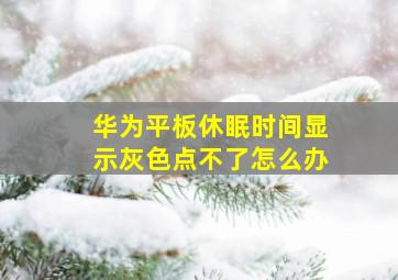 华为平板休眠时间显示灰色点不了怎么办