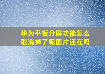 华为平板分屏功能怎么取消掉了呢图片还在吗