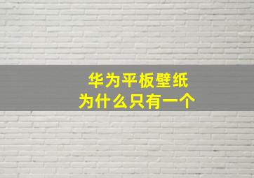 华为平板壁纸为什么只有一个