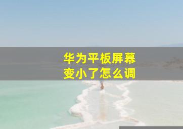 华为平板屏幕变小了怎么调