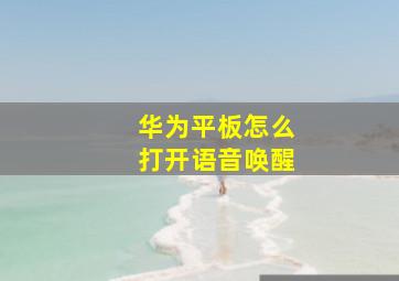 华为平板怎么打开语音唤醒