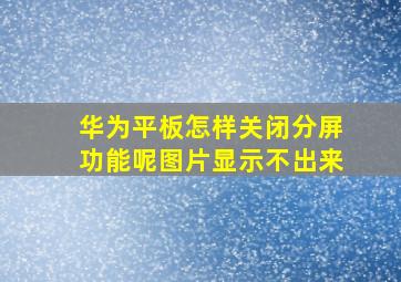 华为平板怎样关闭分屏功能呢图片显示不出来