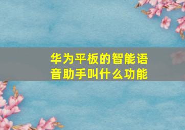 华为平板的智能语音助手叫什么功能