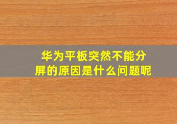 华为平板突然不能分屏的原因是什么问题呢