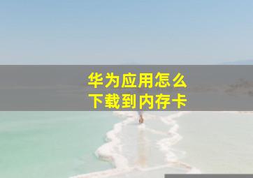 华为应用怎么下载到内存卡