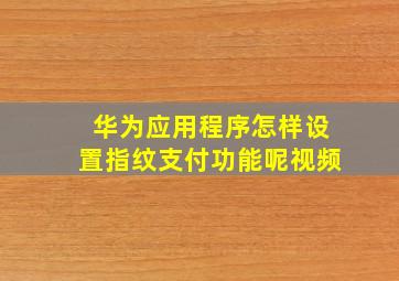 华为应用程序怎样设置指纹支付功能呢视频