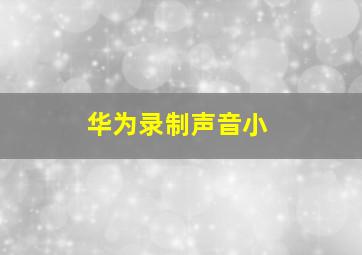 华为录制声音小