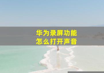 华为录屏功能怎么打开声音