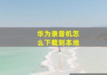 华为录音机怎么下载到本地