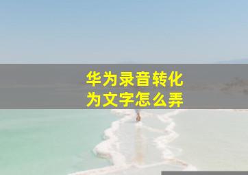 华为录音转化为文字怎么弄