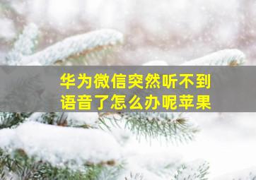 华为微信突然听不到语音了怎么办呢苹果