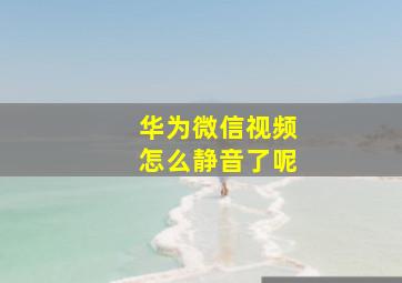 华为微信视频怎么静音了呢