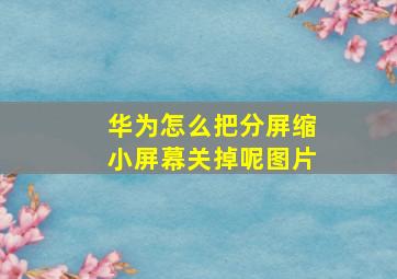 华为怎么把分屏缩小屏幕关掉呢图片