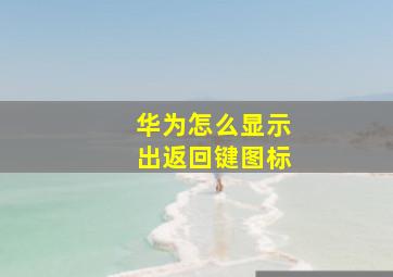 华为怎么显示出返回键图标