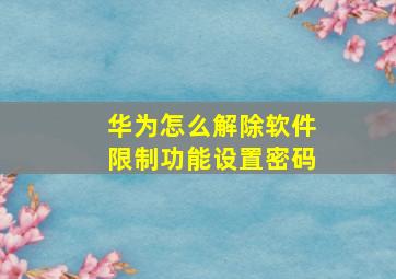 华为怎么解除软件限制功能设置密码