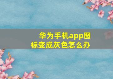 华为手机app图标变成灰色怎么办