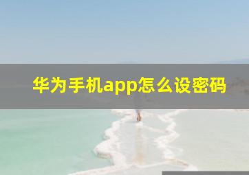 华为手机app怎么设密码