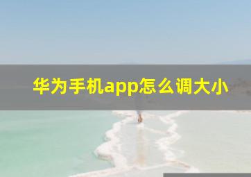 华为手机app怎么调大小