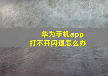 华为手机app打不开闪退怎么办