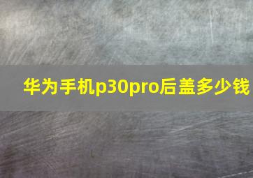 华为手机p30pro后盖多少钱