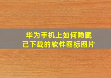 华为手机上如何隐藏已下载的软件图标图片