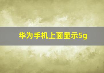 华为手机上面显示5g