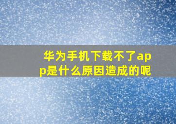 华为手机下载不了app是什么原因造成的呢