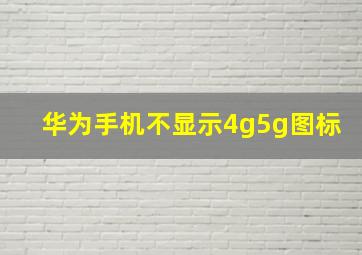 华为手机不显示4g5g图标