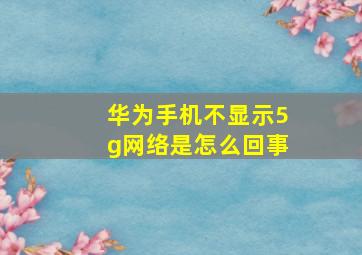 华为手机不显示5g网络是怎么回事