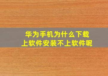 华为手机为什么下载上软件安装不上软件呢