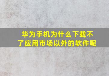 华为手机为什么下载不了应用市场以外的软件呢