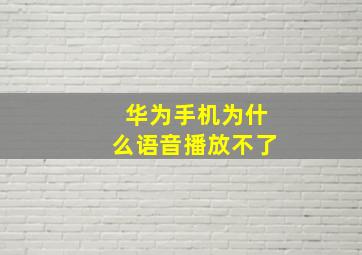 华为手机为什么语音播放不了