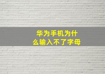 华为手机为什么输入不了字母