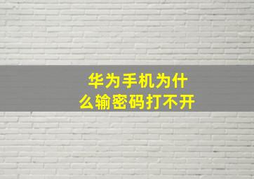 华为手机为什么输密码打不开