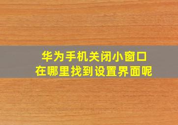 华为手机关闭小窗口在哪里找到设置界面呢