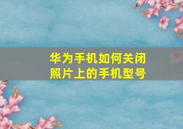 华为手机如何关闭照片上的手机型号