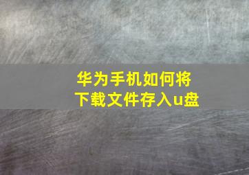 华为手机如何将下载文件存入u盘