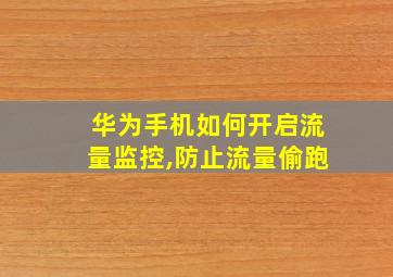 华为手机如何开启流量监控,防止流量偷跑