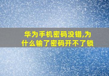 华为手机密码没错,为什么输了密码开不了锁