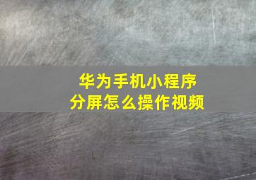 华为手机小程序分屏怎么操作视频