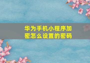 华为手机小程序加密怎么设置的密码